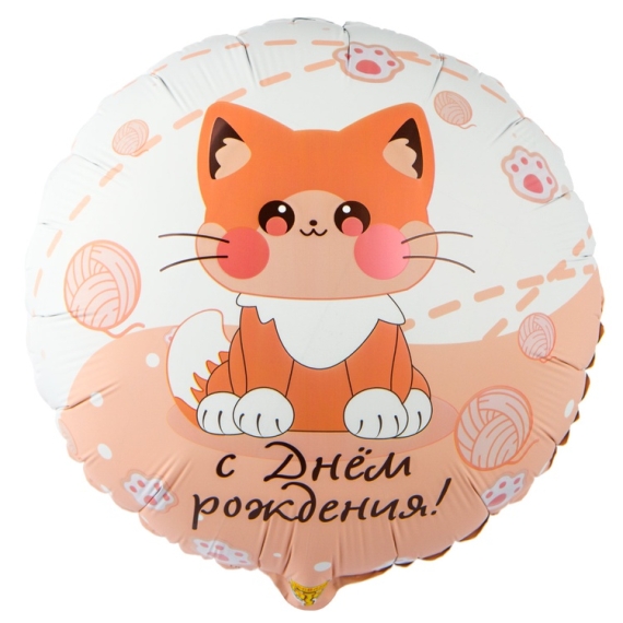  Котик усатый